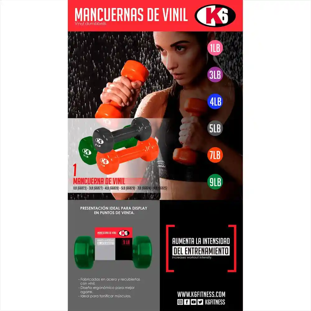 Home Sentry Mancuerna