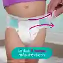Pampers Cruisers Pañales Talla 6