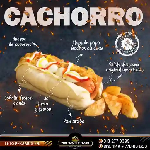 Cachorro