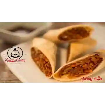 Spring Rolls Vegetarianos