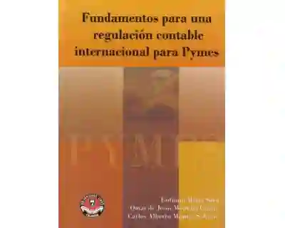Fundamentos Una Regulación Contable Internacional Para Pymes
