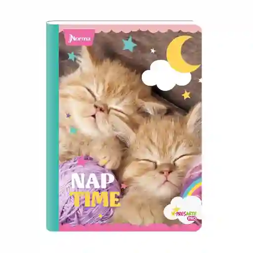 Cuaderno Cats Mediano Cuadriculado 100 Hojas Cosido Norma