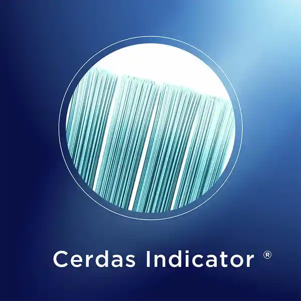 Cepillo de Dientes Oral-B Clean Indicator Medio 2 Unidades