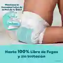 Pampers Swaddlers Pañal Desechables Etapa 6 16 Und​