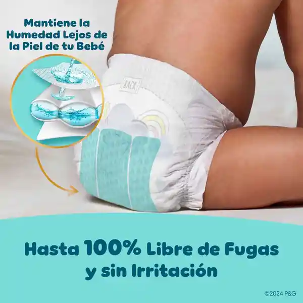 Pampers Swaddlers Pañal Desechables Etapa 6 16 Und​