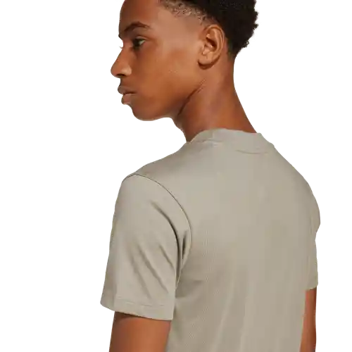 Adidas Camiseta Manga Corta Tee 160 de Niño Beige Talla L