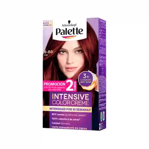 Tinte Palette Color Creme 6-88 Rubí