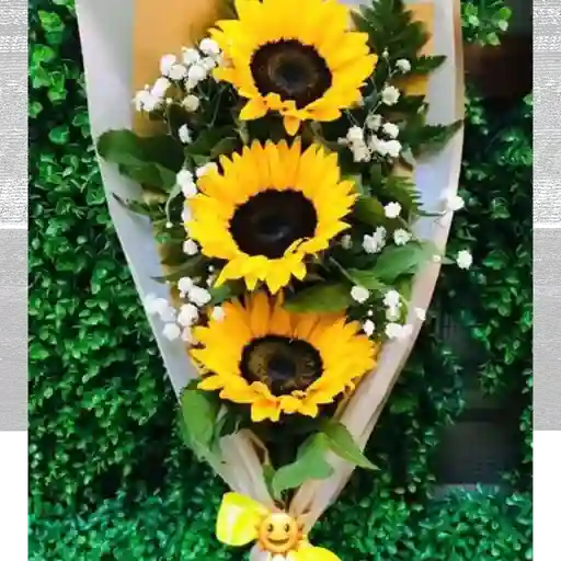 Girasoles en escala