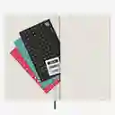Moleskine Agenda Diaria Verde Grande Sc 2026