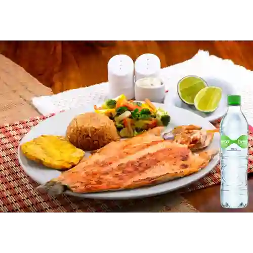 Combo Trucha + Brisa Con Gas 600ML