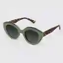 Tiwi Gafas Anne Tortoise