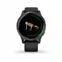 Garmin Reloj Venu Gps Pantalla Amoled