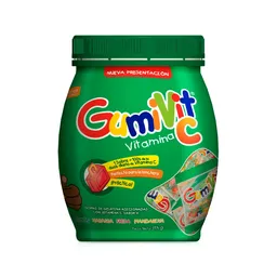 Gumivit Gomas con Vitamina C y Zinc Sabor Surtido