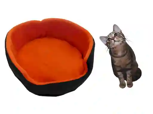 Cama Doble Faz Para Gatos Pequeña Naranja