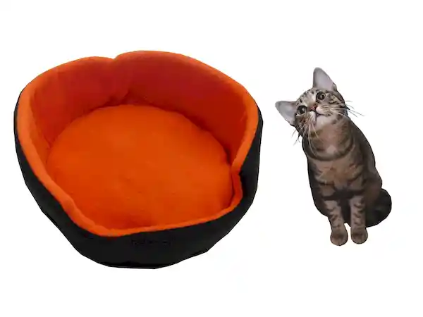 Cama Doble Faz Para Gatos Pequeña Naranja