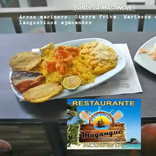 Bandeja Magangué Altavista