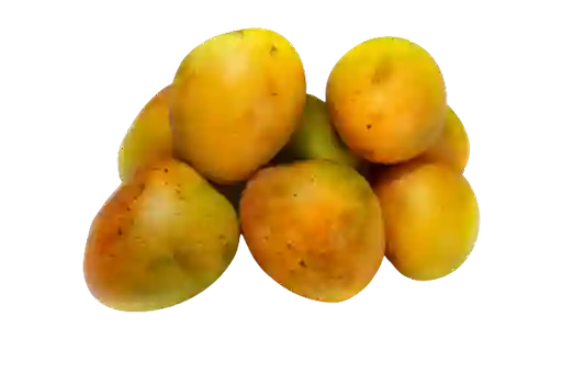 Mango Azúcar