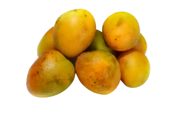 Mango Azúcar