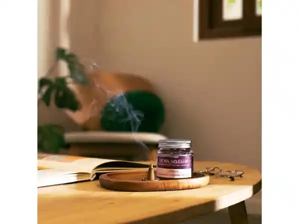 Set de Incienso Cono Mora Silvestre Casaideas