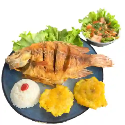 Mojarra Frita