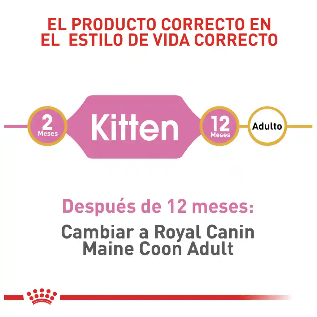 Royal Canin Feline Breed Nutrition Dry Maine Coon Kitten