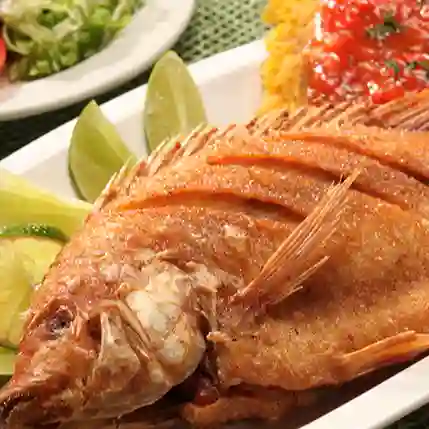 Mojarra