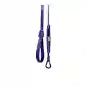 Zeedog Correa Para Perro Air Leash Único Violet