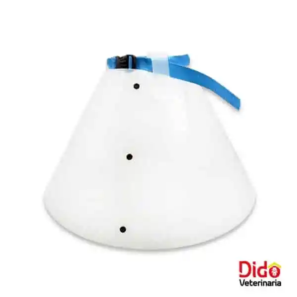 Dido Pets Collar Isabelino Talla 10