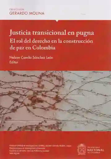 Justicia Transicional en Pugna - VV.AA.