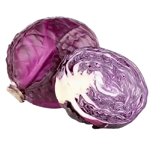 Repollo Morado