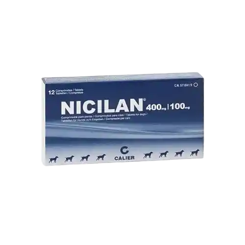 Nicilan (400 mg)