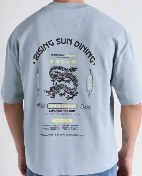 Camiseta Hombre Gris Talla M 849G034_GRI144503 Americanino