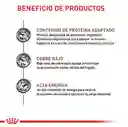 Royal Canin Alimento para Perro Veterinary Hepatic 