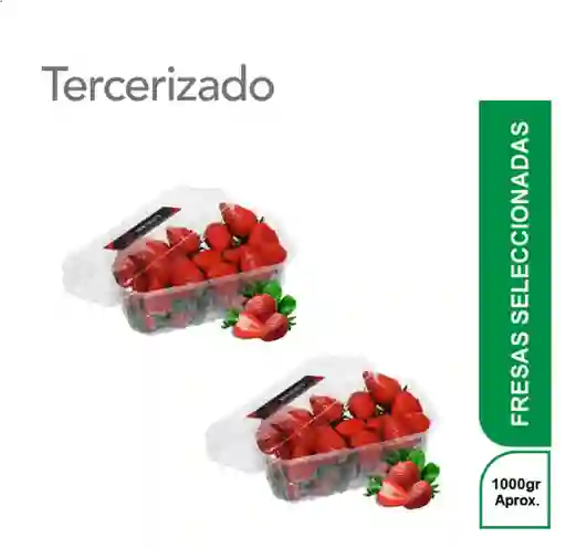 2 x Fresas Jumbo Tipo Exportacion