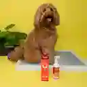 LuloPet Training Zone Mark Dog y Puppy para Perro - 250 ml