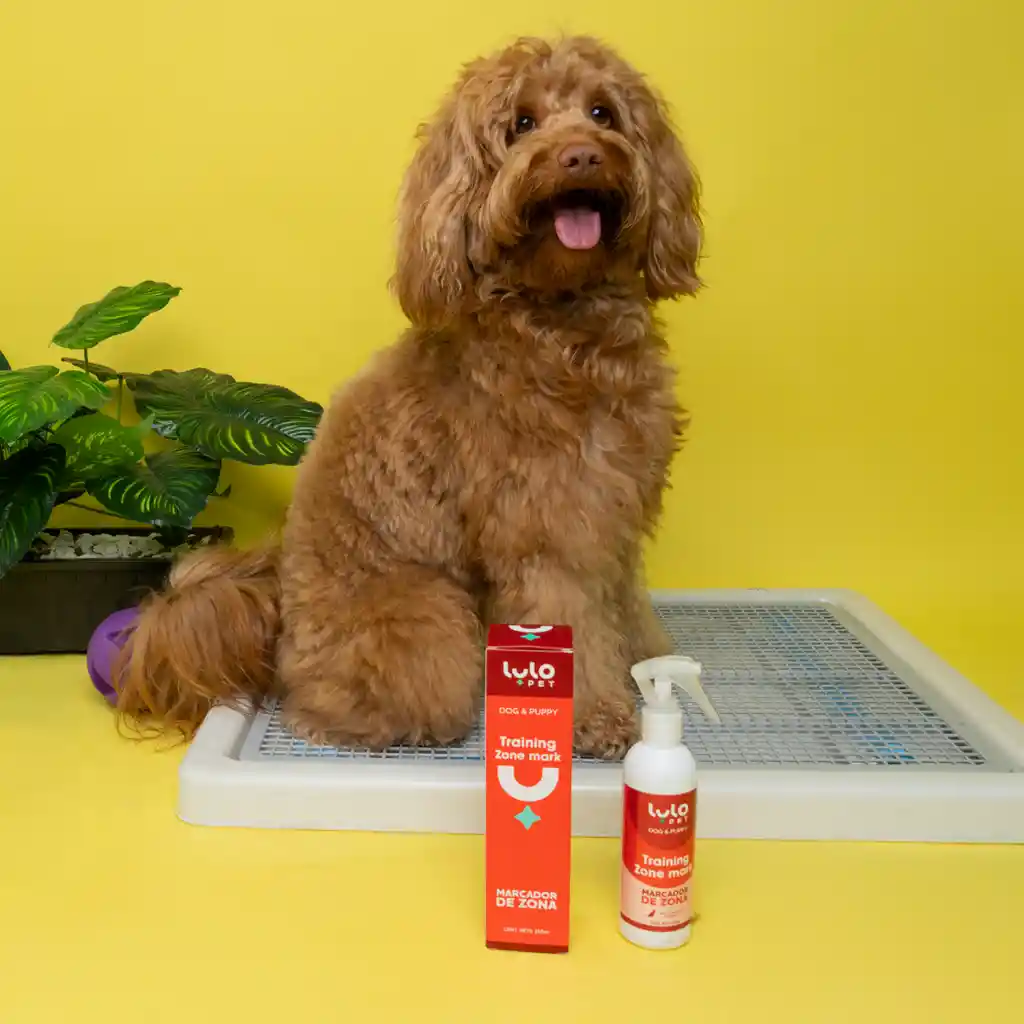 LuloPet Training Zone Mark Dog y Puppy para Perro - 250 ml