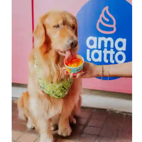 Helado Mascota Pequeño