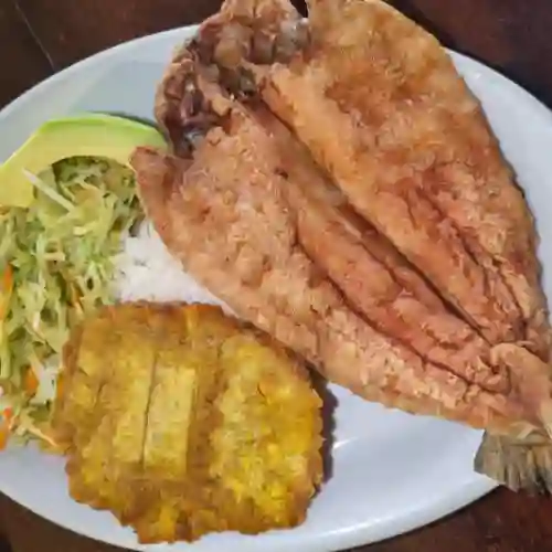 Trucha