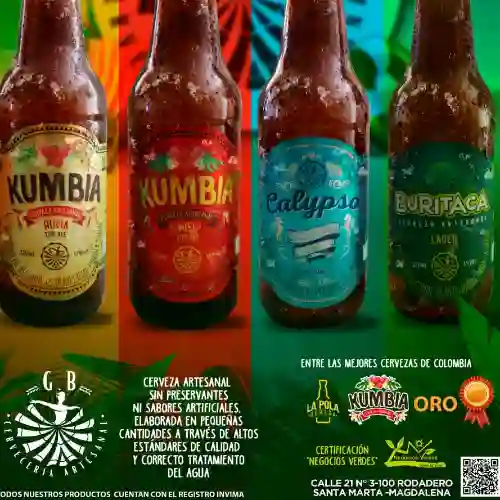 Cerveza Artesanal Four Pack Armable