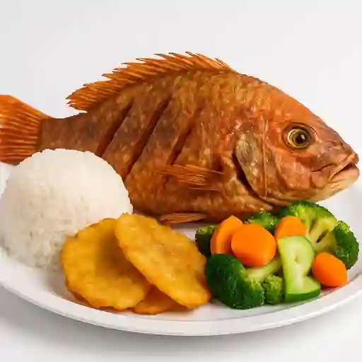 Mojarra Roja