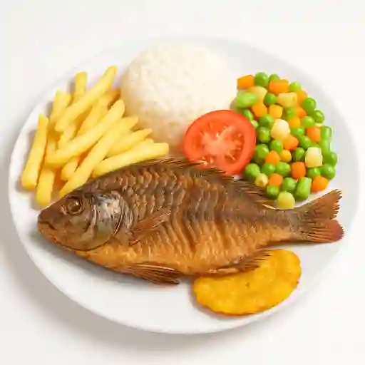 Mini Mojarra