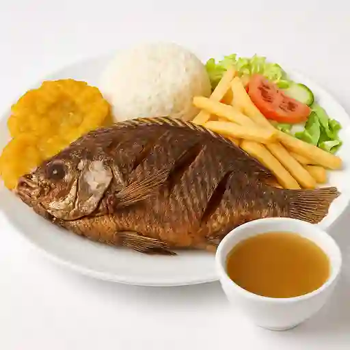 Tilapia