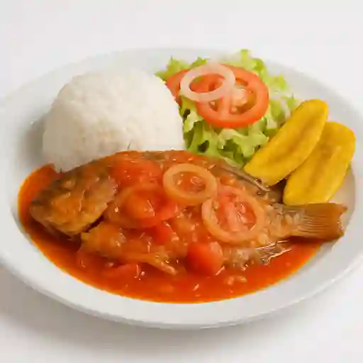 Tilapia Guisada