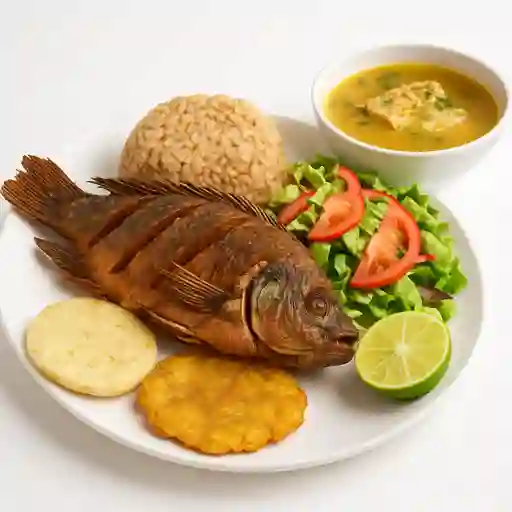 Tilapia
