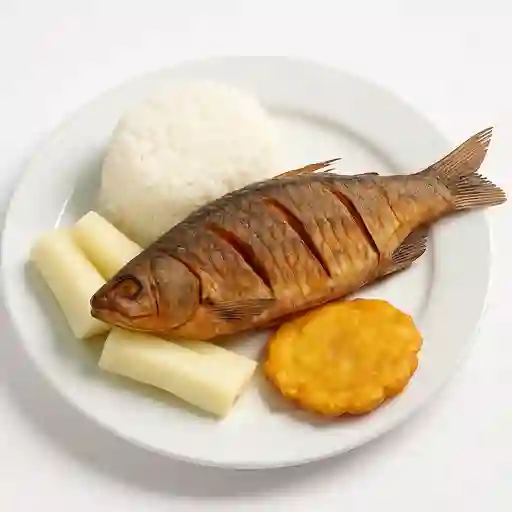 Bocachico