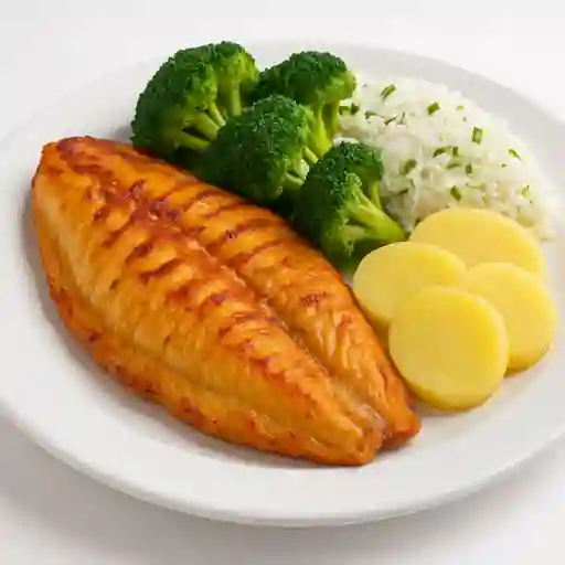 Bagre Dorado