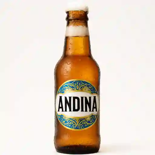 Cerveza Andina 330