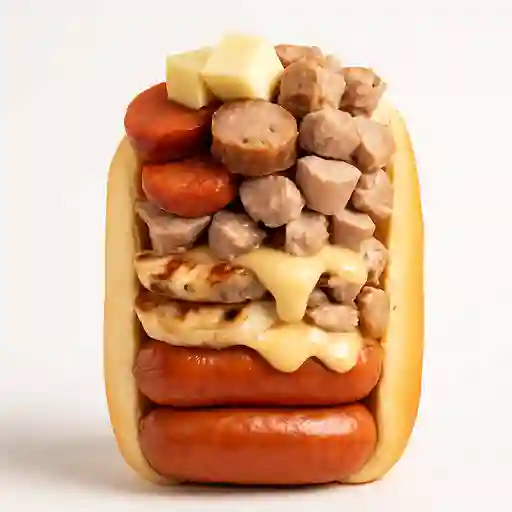 Perro Mampano
