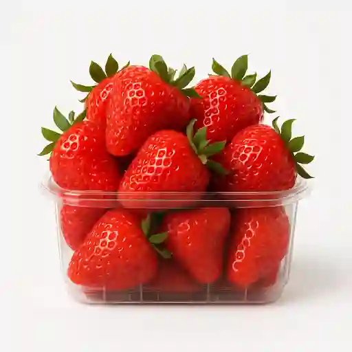 Fracesa