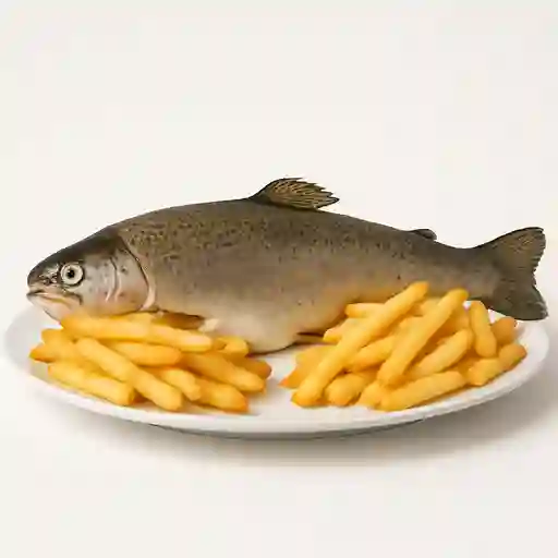 Trucha 600gr